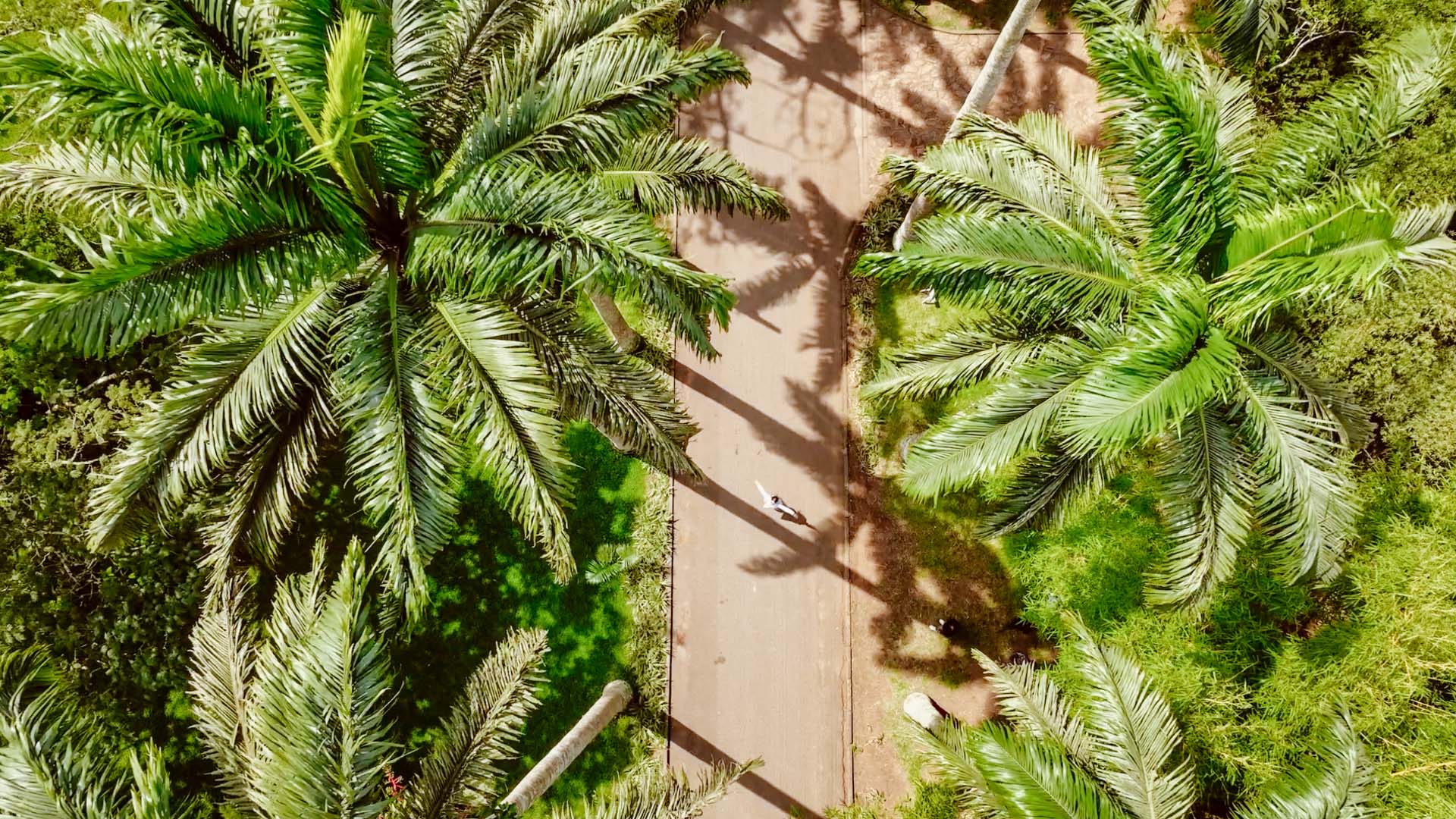 Botanical Gardens