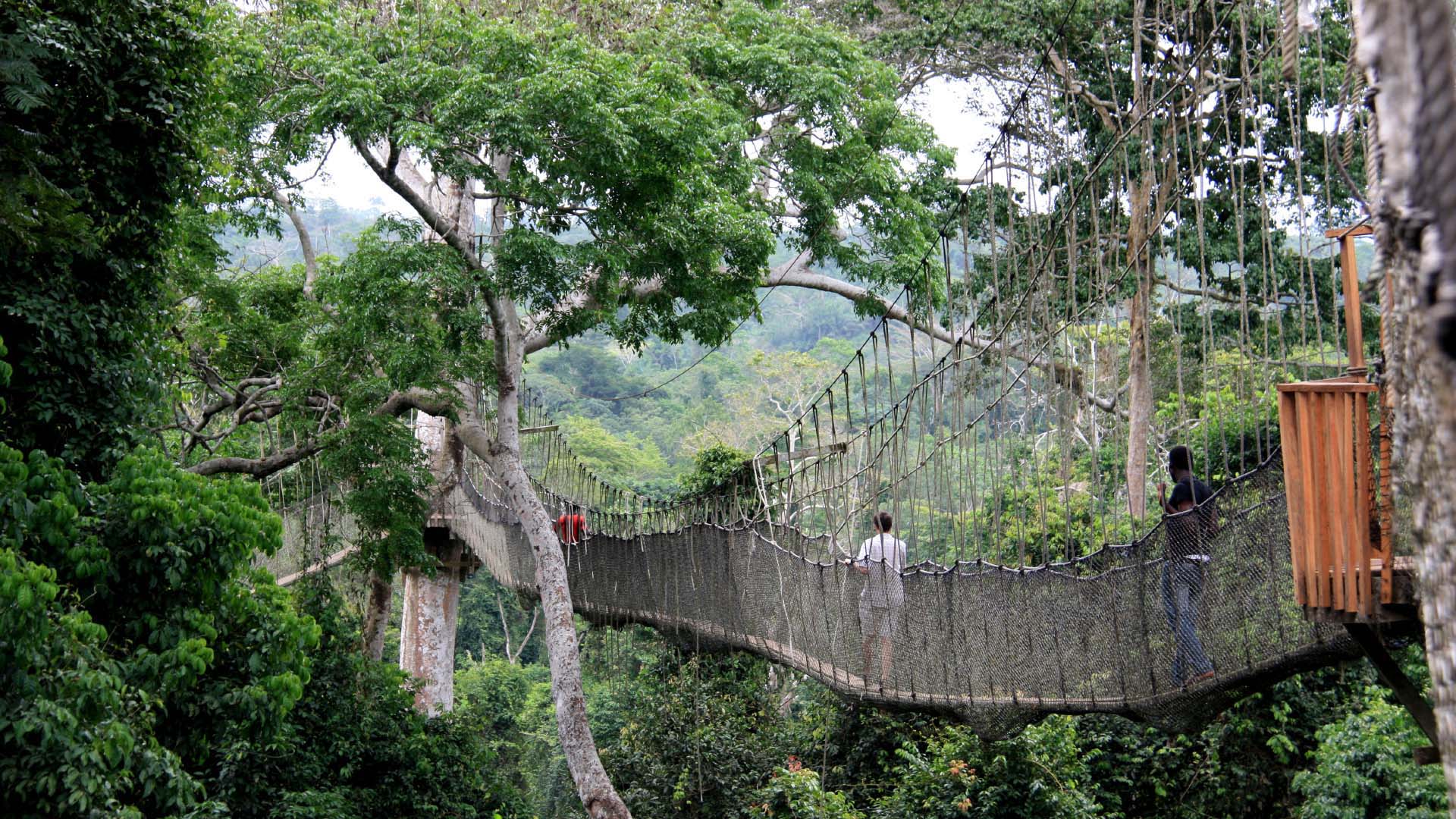 Kakum National Park