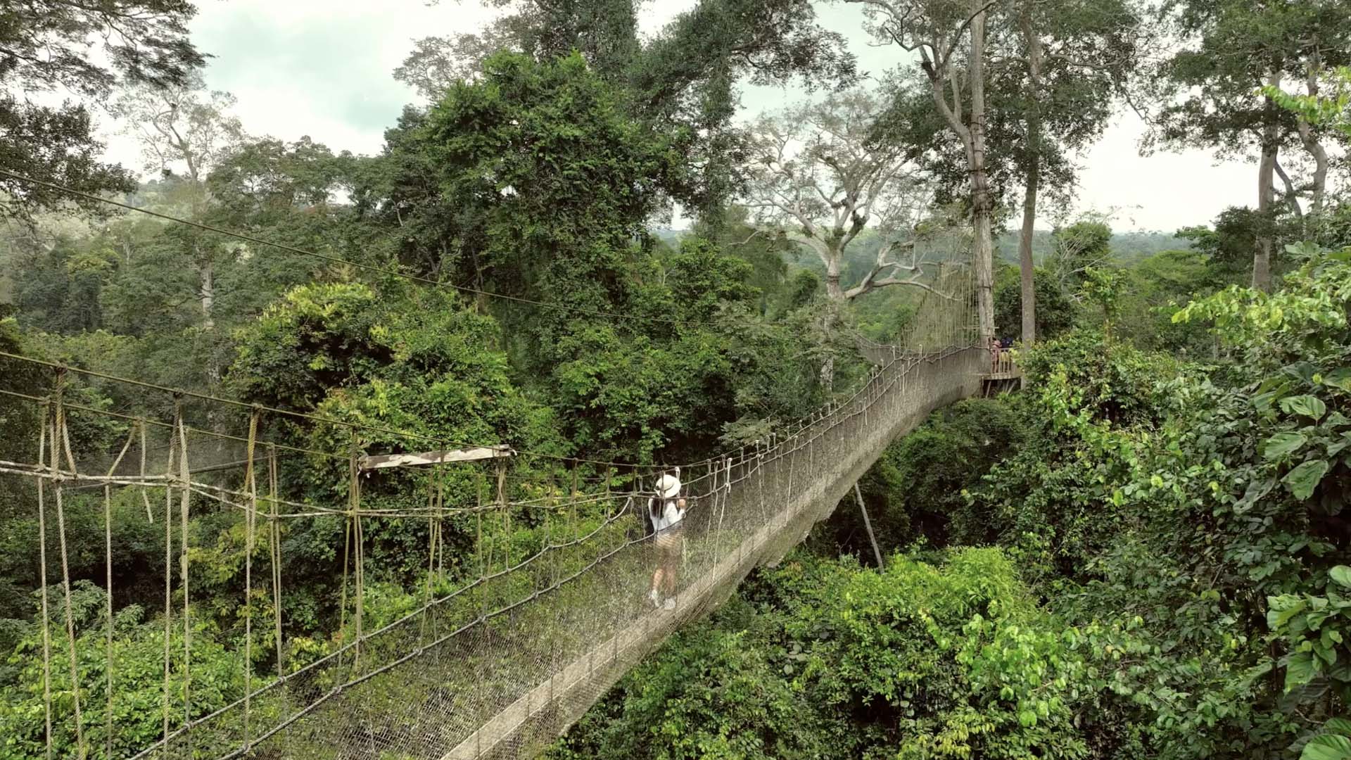 Kakum National Park