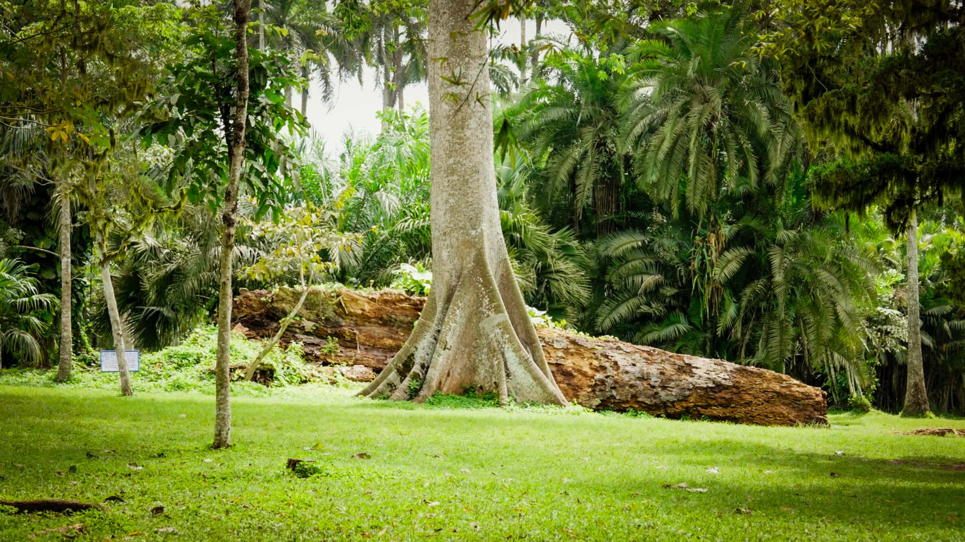 Botanical Gardens