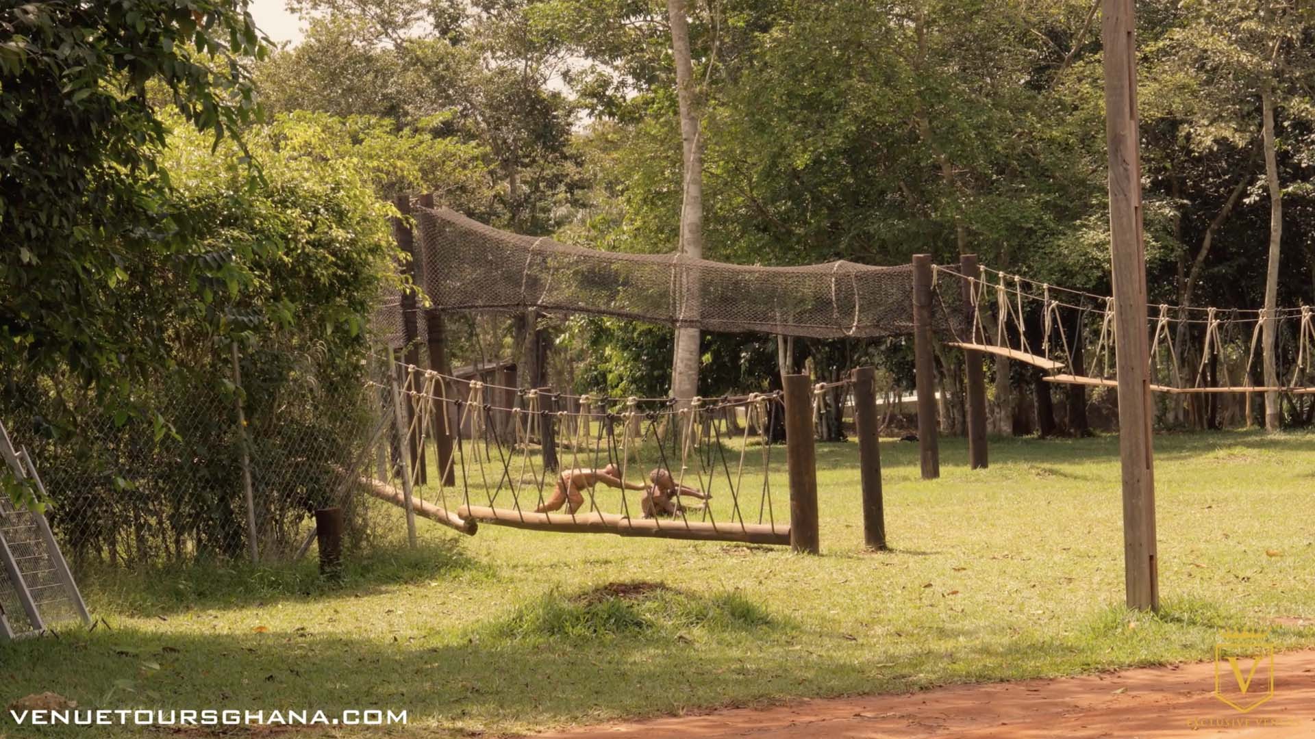 Safari Valley